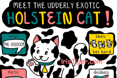 Holstein Cat