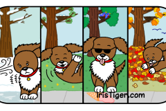 Dog in 4 Seasons